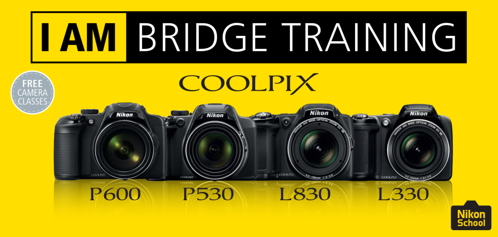 Bridge training_yellow_HIGHLIGHT