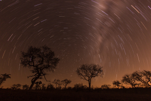 Stars