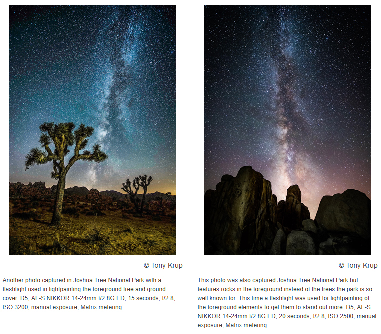 tony-krup-images